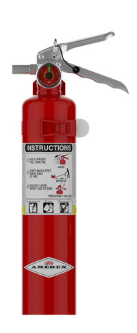 Amerex B417T 2.5 lb ABC extinguisher secured in strap-style vehicle bracket