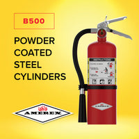 Amerex B500 5 lb ABC fire extinguisher, alternate angle