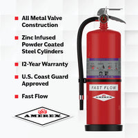 Detailed product view of the Amerex 794 20 lb Purple K Fast Flow fire extinguisher, item 26909
